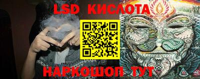 сатива Краснодар
