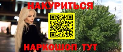 сатива Краснодар