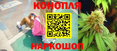 сатива Краснодар