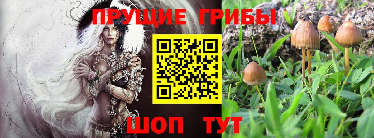 Галлюциногенные грибы мухоморы Ирбит